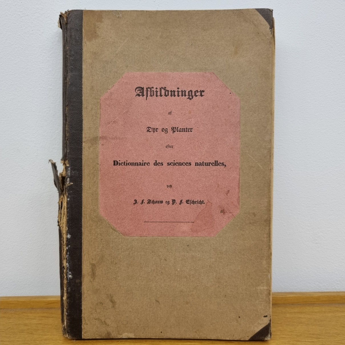 CALENDARIO FRATE INDOVINO Anno 1983 [GS53] – IL NEGOZIO DI CICOS